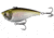 Rapala Magic Man Lipless Crankbait, 3/4oz, Single Pitch, Epic Shad, 2.95in, E-PVSP34-ES