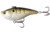 Rapala Magic Man Lipless Crankbait, 3/4oz, Single Pitch, Louisiana Frog Cakes, 2.95in, E-PVSP34-LF