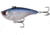 Rapala Magic Man Lipless Crankbait, 3/4oz, Single Pitch, Lunar Shad, 2.95in, E-PVSP34-LS