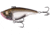 Rapala Magic Man Lipless Crankbait, 3/4oz, Single Pitch, Olive Crush, 2.95in, E-PVSP34-OC-S