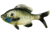 Rapala The Gill Boot Tail Swimbaits, 1, 5.25in, Natural Sunfish, CB-Gill5.25-8