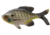 Rapala The Gill Wege Tail Swimbaits, 1, 5.25in, Natural Bluegill, CB-GillW5.25-9