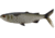 Rapala The Mullet Boot Tail Swimbaits, 1, 5 - 6.5in, Natural Mullet, CB-MULLET-B-6.5-20
