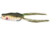 Rapala Trash Panda Poppin Frog 2.5in, 9/16oz, Dream Gill, 2.5in, TPPF-8