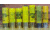 20 Gauge Shotshells