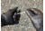 221B Tactical Hero Gloves 2.0, Needle &amp; Cut Resistant, Black, Medium, HG2.0-M