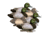Higdon Outdoors Standard Bluebill Foam Filled, 6 Pack, HG19263