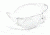 3M SecureFit,Protective Eyewear, CLEAR lens, 20ea/cs, Anti Fog SF201AF