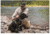 5.11 Tactical Mission Ready Dog Harness - 56789ABR-1055-M