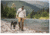 5.11 Tactical Mission Ready Dog Harness - 56789ABR-1055-M