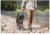 5.11 Tactical Mission Ready Dog Harness - 56789ABR-1055-M