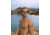 Body Glove Cruise Polarized Blade Sunglasses - Gumetal BBE3609D, One Size, Gunmetal Blue Lens, 10266278.CGR-Gumetal
