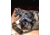 A3 Industries Hda3 Hybrid Polymer Sig Mcx/Rattler, Folding Rifle Stock