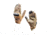 A7 Defense Python Operator Tactical Gloves, Tan, Extra Large, A7PTGTXL