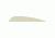 AAE Elite Plastifletch Vanes, White 2.375 in. 100 pk. EPA23WH100