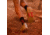 Adidas Terrex Agravic Flow 2 Trail Running Shoes - Womens, Almost Lime/Pulse Lime/Turbo, 7, H03191-7