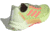 Adidas Terrex Agravic Flow 2 Trail Running Shoes - Men's, Pulse Lime/Turbo/Ftwr White, 10.5, H06575-10.5