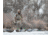 AdvenTec LLC dba Rig Em Right Outdoors Rig Em Right Recon Decoy Bag, 600