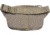 Agilite Emergence Fanny Pack