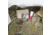 Agilite K-Zero SF Plate Carrier