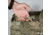 Agilite K-Zero SF Plate Carrier