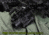 AGM Global Vision MUM-14A Multi-Purpose Night Vision Monocular, Mil-Spec, Gen 2+ Level 3, Black 11M14122353031