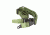 AIM Sports Inc Two One Point Bungee Sling/Steel Clip/Sleeve (Heavy Duty)/Green AOPS02G