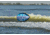 Airhead 4K Booster Ball Inflatable Tow/Rope Buoy, Blue/White, AHBB-2030