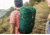 Alite Arcata Pack Backpack, Sutro Green 06-32A-SUG5
