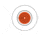 Allen Ez Aim 11 Spot Target 13-pack, 12x12in, 15245