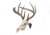 Allen EZ Mount Skull Hanger, Fixed, Brown, 7228