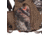 Allen Gear Fit Pursuit Bruiser Whitetail Daypack, Mossy Oak Break-Up Country Camo, 19175