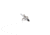 Allen Velox CX Ballistic SS Crossbow Broadhead,, Steel, 100 Grain, 14691
