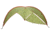 ALPS Mountaineering Tri-Awning