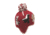 Ambler Woodland Beanie - Kid's-Ruby-S/M