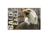 American Expedition Bald Eagle Graphic Canvas Art, 15.7in x 23.6in x 1.12in 4001022