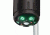 American Hunter Swine Shine Hog  Light, AH-HOGLITE