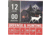 American Tactical Imports 12 Gauge 9 Pellet 2 3/4 in Buckshot Shotgun Ammo, 00 Buck, 25 Rounds, ATIACL12B00