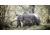 Ameristep Pro Series Extreme View Blind, Mossy Oak Break Up Country, AMS-AMEBL3036