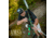 Ams Bowfishing Water Moc Recurve Bow Only Rh Green