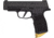 Anarchy Outdoors Pinky Rest for Sig 365 XL, Gold, 791617481473
