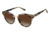 Ann Taylor ATP912 Sunglasses - Frame WHITE TORTOISE, Lens Color Dark Brown Gradient, Size 48/21mm TYATP91202
