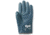 Ansell Healthcare Glove Hynit Nitrile SZ7 PK12 208000
