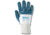 Ansell Healthcare GLV,HYCRON,NBR(27-600)PK12PR L 205809