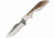 Anza 6.625 Inch Fixed Blade Knife, Elk, Brown Leather Belt Sheath AZMSWATFE
