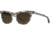 AO Lucinda Sunglasses - Womens, Crystal Slate, Cosmetan Brown AOLite Nylon Lenses, Crystal Slate / Cosmetan Brown Lens, 51-20-140, LUC251ST--BNN
