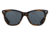 AO Saratoga Sunglasses, Brown Demi, True Color Gray AOLite Nylon Lenses, 54-19-145 B42, SAR654ST--GYN
