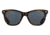 AO Saratoga Sunglasses, Brown Demi, True Color Gray AOLite Nylon Lenses, Polarized, 52-19-145 B42, SAR652ST--GYN-P