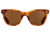AO Saratoga Sunglasses, Havana, Cosmetan Brown AOLite Nylon Lenses, Polarized, 52-19-145 B42, SAR452ST--BNN-P