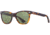 AO Saratoga Sunglasses, Tortoise, Calobar Green AOLite Nylon Lenses, 52-19-145 B42, SAR152ST--GNN